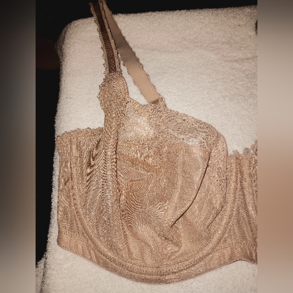 Panache Women's Jasmine Balconnet Bra (6961) Carmel Size 36E - Picture 2 of 8